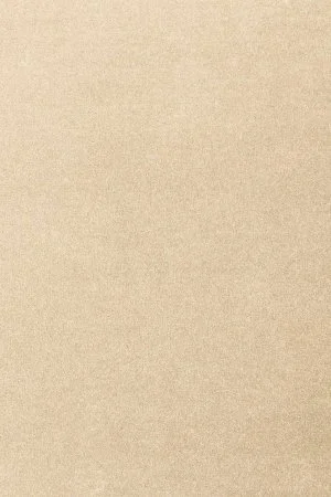 Ковровое покрытие AW Oinone 34 - (5м) в Дзержинске