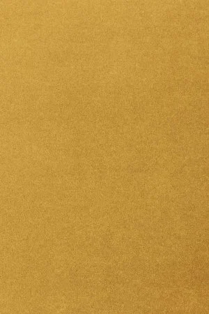 Ковровое покрытие AW Oinone 54 - (5м) в Дзержинске