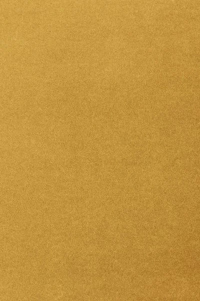 Ковровое покрытие AW Oinone 54 - (5м) в Дзержинске