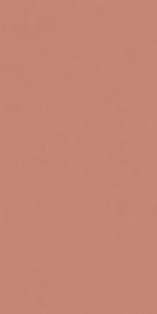 Керамогранит Italon Серфейс Скарлетт (Патинированная, 60x120) в Дзержинске