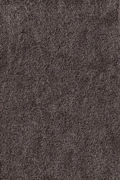 Ковровое покрытие AW Messalina 44 - (4м) в Дзержинске