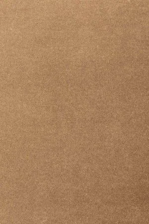 Ковровое покрытие AW Oinone 38 - (5м) в Дзержинске