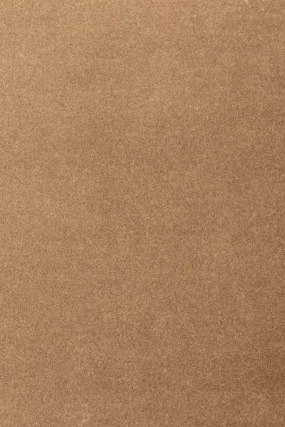 Ковровое покрытие AW Oinone 38 - (4м) в Дзержинске