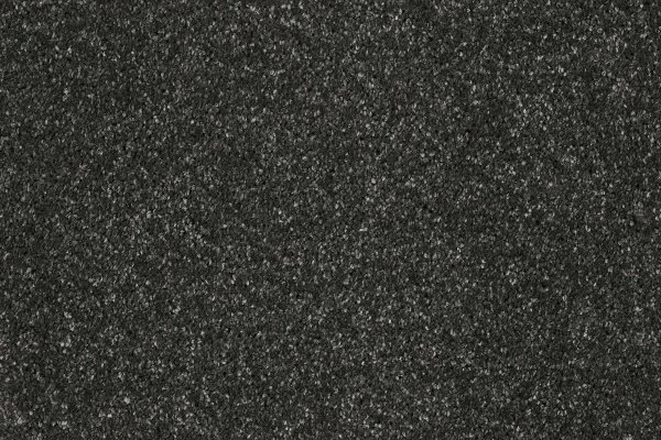 Ковровое покрытие AW Gala 97 - (5м) в Дзержинске