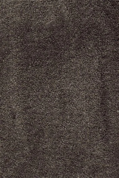 Ковровое покрытие AW Fedone 44 - (5м) в Дзержинске