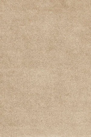 Ковровое покрытие AW Omphale 37 - (5м) в Дзержинске