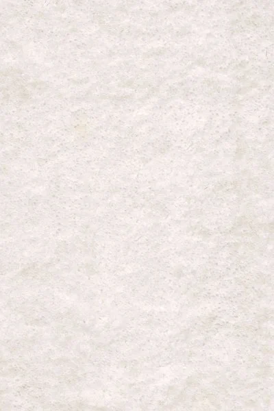 Ковровое покрытие AW Euphoria 03 - (5м) в Дзержинске