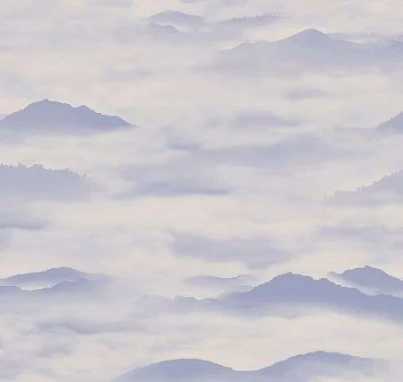 Обои Loymina Clair CLR4, 006 в Дзержинске