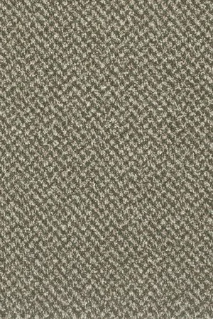 Ковровое покрытие AW Stainaway Tweed 24 - (4м) в Дзержинске