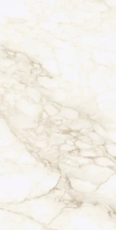 Керамогранит Coliseum Микеланджело Ворм 60х120 (Натуральный и Реттифицированный) в Дзержинске