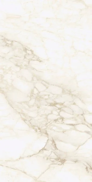 Керамогранит Coliseum Микеланджело Ворм 60х120 (Натуральный и Реттифицированный) в Дзержинске