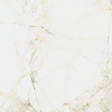 Керамогранит Coliseum Канова Уайт 60х60 (Натуральный и Реттифицированный) в Дзержинске