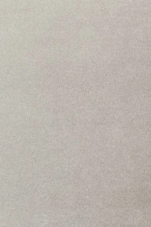 Ковровое покрытие AW Oinone 92 - (4м) в Дзержинске