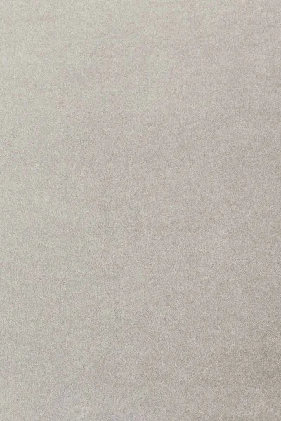 Ковровое покрытие AW Oinone 92 - (5м) в Дзержинске