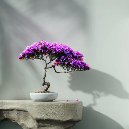 Обои Loymina Lotus LOT1 112 в Дзержинске