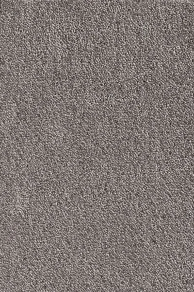 Ковровое покрытие AW Messalina 49 - (5м) в Дзержинске