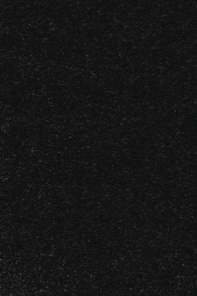 Ковровое покрытие AW Euphoria 99 - (5м) в Дзержинске