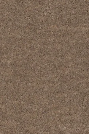 Ковровое покрытие AW Euphoria 36 - (4м) в Дзержинске