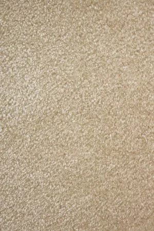 Ковровое покрытие AW Euphoria 33 - (4м) в Дзержинске