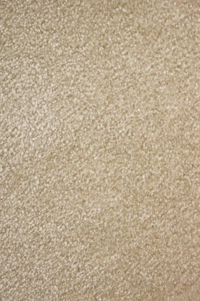 Ковровое покрытие AW Euphoria 33 - (4м) в Дзержинске