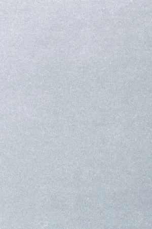 Ковровое покрытие AW Oinone 07 - (5м) в Дзержинске