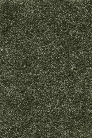 Ковровое покрытие AW Certosa 24 - (5м) в Дзержинске