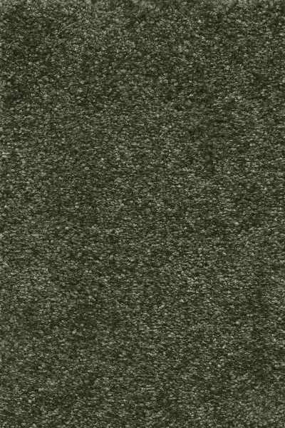 Ковровое покрытие AW Certosa 24 - (4м) в Дзержинске