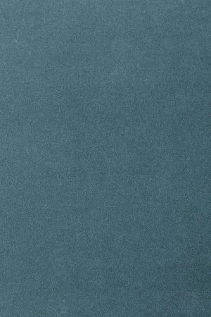 Ковровое покрытие AW Oinone 74 - (5м) в Дзержинске