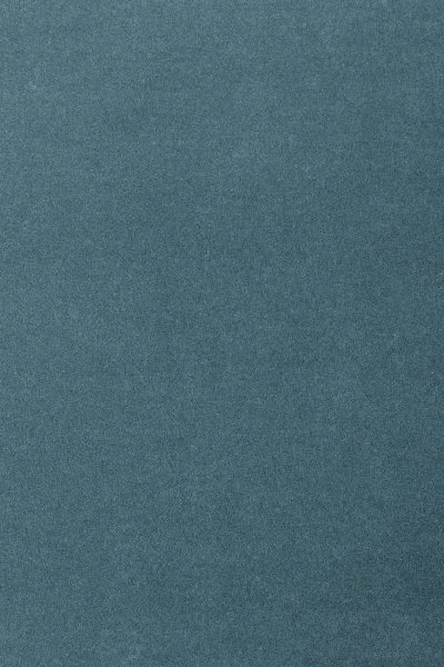 Ковровое покрытие AW Oinone 74 - (5м) в Дзержинске