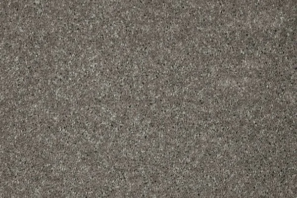 Ковровое покрытие AW Gala 94 - (5м) в Дзержинске