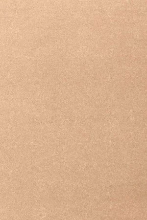 Ковровое покрытие AW Oinone 08 - (4м) в Дзержинске