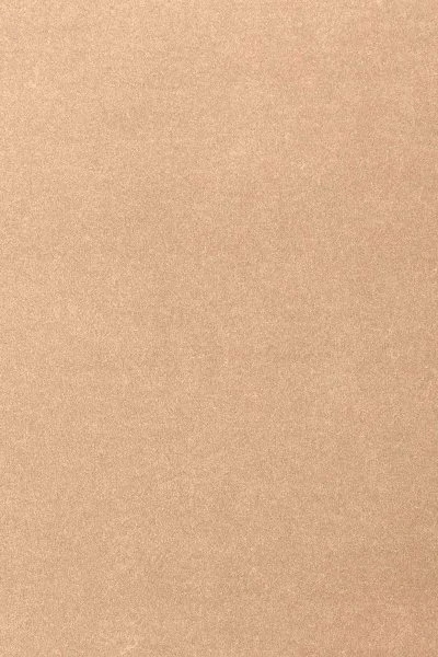 Ковровое покрытие AW Oinone 08 - (4м) в Дзержинске