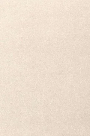 Ковровое покрытие AW Oinone 03 - (5м) в Дзержинске