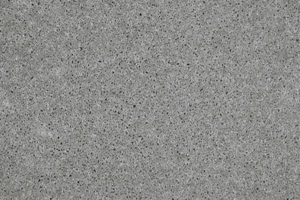 Ковровое покрытие AW Gala 90 - (4м) в Дзержинске