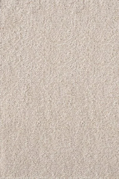 Ковровое покрытие AW Messalina 34 - (5м) в Дзержинске