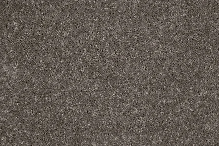 Ковровое покрытие AW Gala 49 - (4м) в Дзержинске