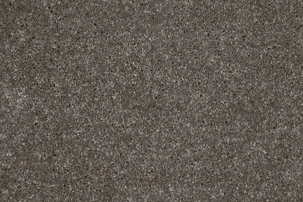 Ковровое покрытие AW Gala 49 - (4м) в Дзержинске