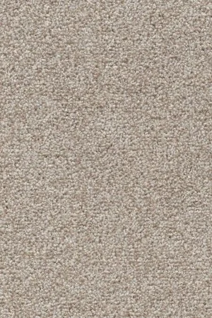 Ковровое покрытие AW Stainguard Harvest 04 - (4м) в Дзержинске