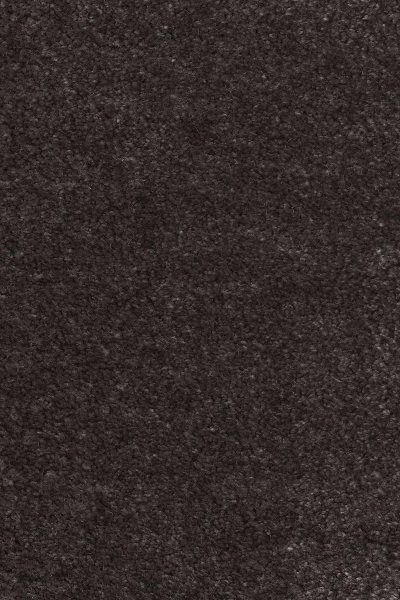 Ковровое покрытие AW Euphoria 43 - (4м) в Дзержинске