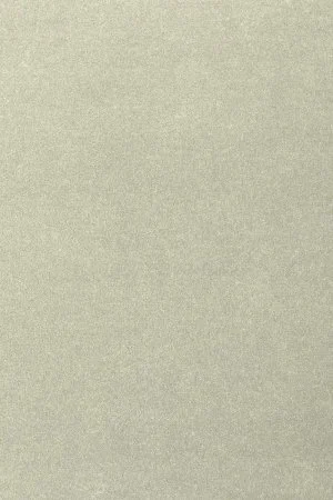 Ковровое покрытие AW Oinone 02 - (5м) в Дзержинске