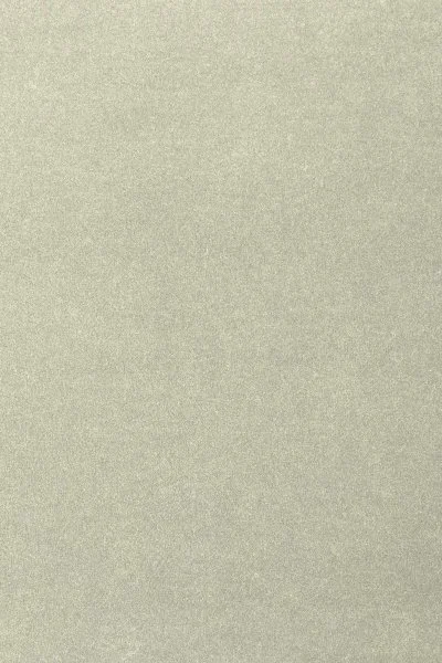 Ковровое покрытие AW Oinone 02 - (4м) в Дзержинске