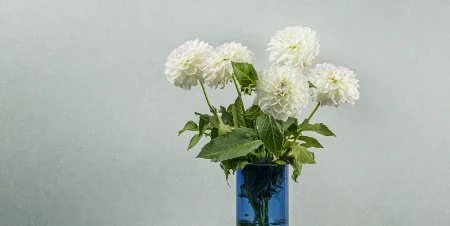 Обои Loymina Shade vol.2 SDR5, 001 в Дзержинске