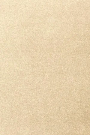 Ковровое покрытие AW Oinone 33 - (5м) в Дзержинске