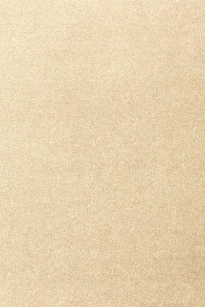 Ковровое покрытие AW Oinone 33 - (4м) в Дзержинске