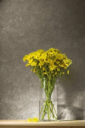 Обои Loymina Golden Library TDG 7, 008 в Дзержинске