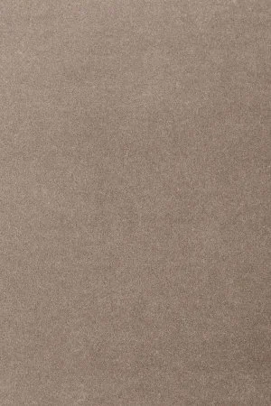 Ковровое покрытие AW Oinone 49 - (5м) в Дзержинске