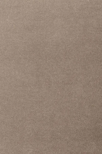 Ковровое покрытие AW Oinone 49 - (5м) в Дзержинске