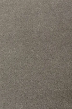 Ковровое покрытие AW Oinone 95 - (5м) в Дзержинске