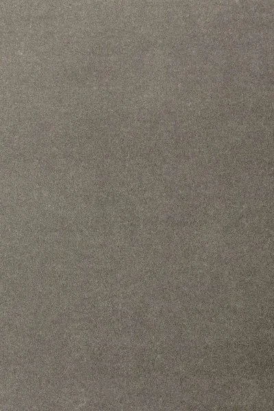 Ковровое покрытие AW Oinone 95 - (5м) в Дзержинске