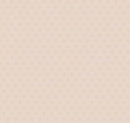 Обои Loymina Golden Library Q11, 002/1 в Дзержинске